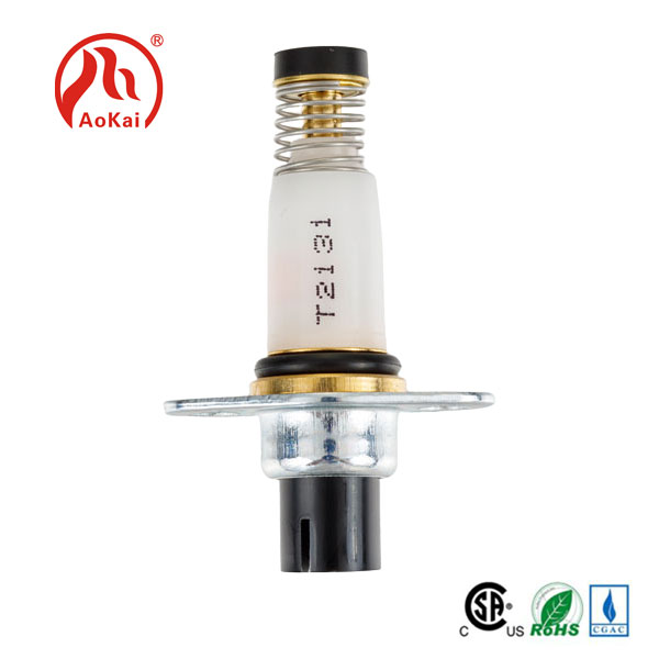 Ki fòm ki pral tandans nan devlopman nan lavni nan tiyo solenoid?