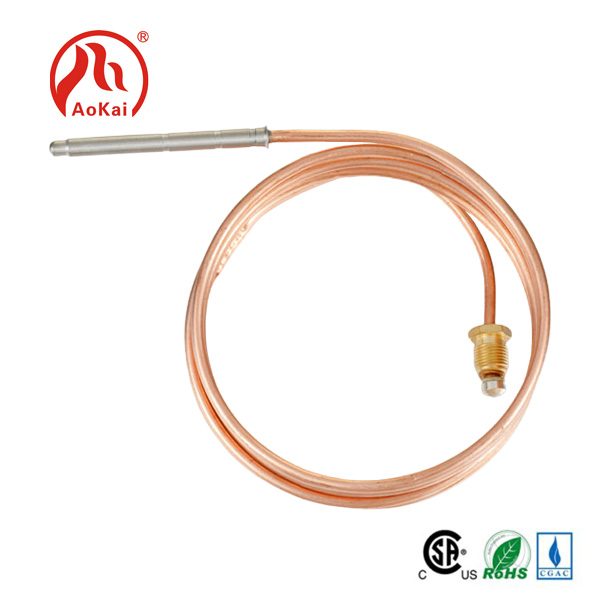 Thermocouple fleksib